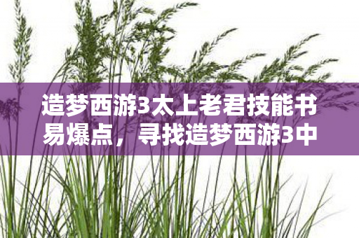 造梦西游3太上老君技能书易爆点图片