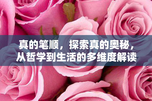 从哲学到生活的多维度解读图片