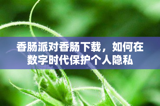 如何在数字时代保护个人隐私图片