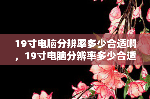 19寸电脑分辨率多少合适啊图片