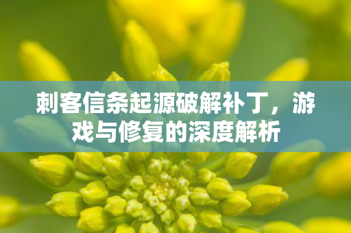 刺客信条起源破解补丁,游戏与修复的深度解析 刺客信条起源破解补丁,游戏与修复的深度解析