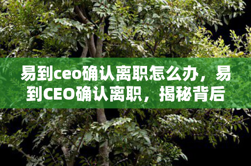 易到ceo确认离职怎么办，易到CEO确认离职，揭秘背后的故事与未来展望