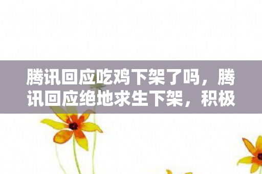 腾讯回应吃鸡下架了吗图片