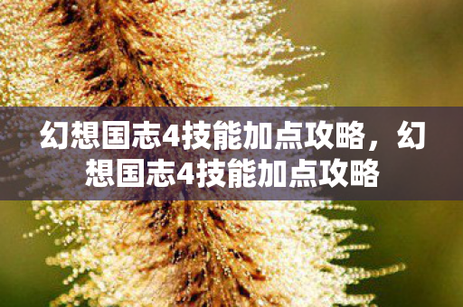 幻想国志4技能加点攻略图片