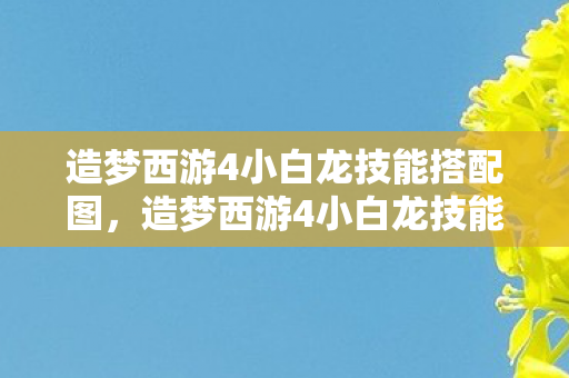 造梦西游4小白龙技能搭配攻略图片