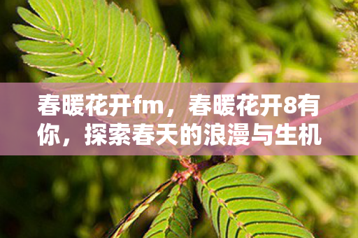 探索春天的浪漫与生机图片