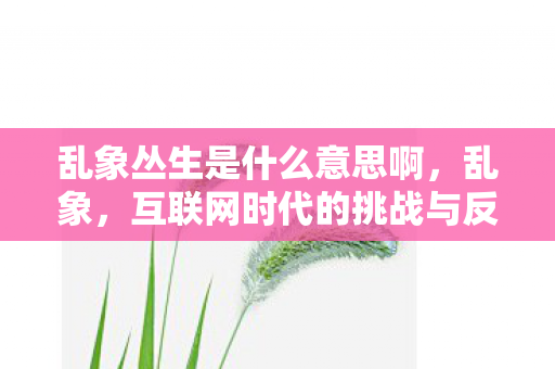 互联网时代的挑战与反思图片