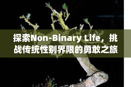 挑战传统性别界限的勇敢之旅图片