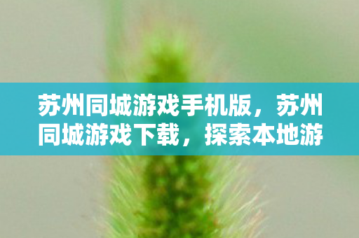 探索本地游戏文化的魅力图片