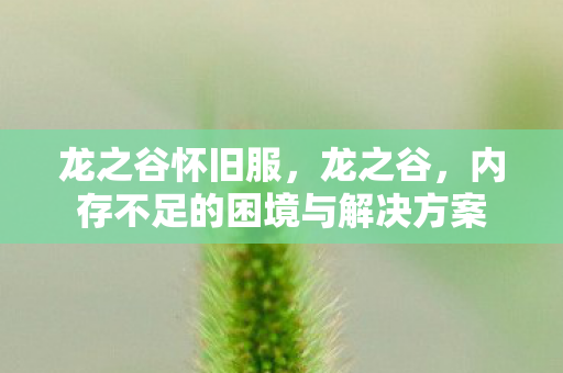内存不足的困境与解决方案图片