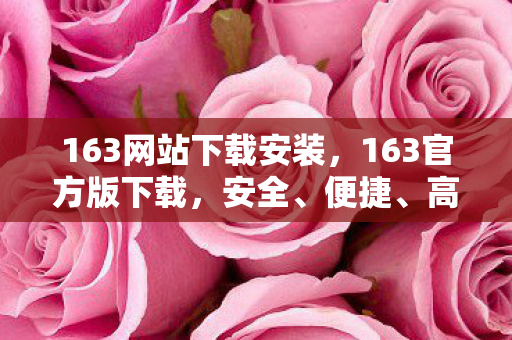 163网站下载安装图片