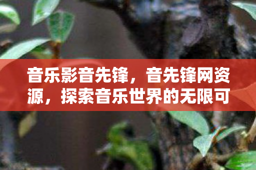 探索音乐世界的无限可能图片