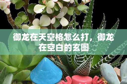 御龙在天空格怎么打图片