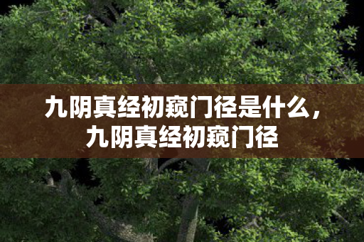 九阴真经初窥门径是什么图片