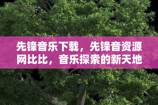 先锋音资源网比比图片