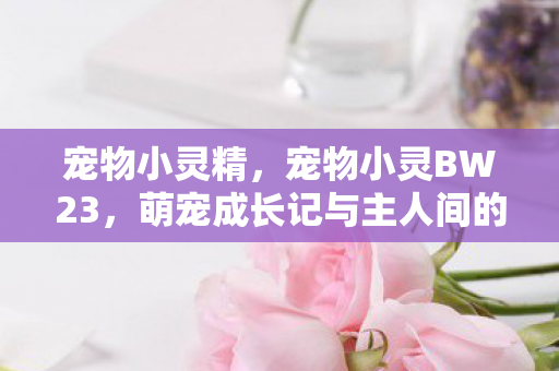 萌宠成长记与主人间的温馨互动图片