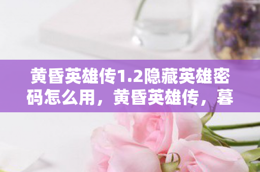 黄昏英雄传1.2隐藏英雄密码怎么用，黄昏英雄传，暮光之中的英勇传奇