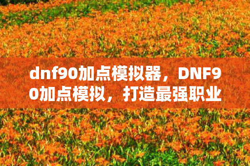 dnf90加点模拟器图片