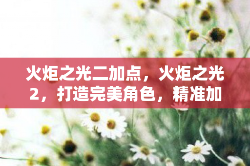 火炬之光二加点，火炬之光2，打造完美角色，精准加点攻略