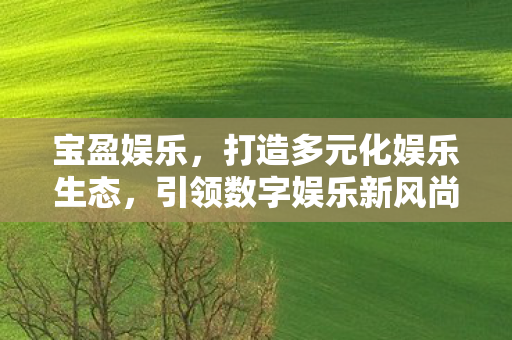 宝盈娱乐，打造多元化娱乐生态，引领数字娱乐新风尚
