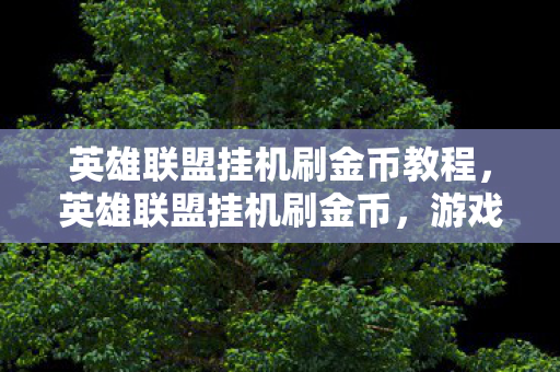 英雄联盟挂机刷金币教程，英雄联盟挂机刷金币，游戏内的财富积累之道