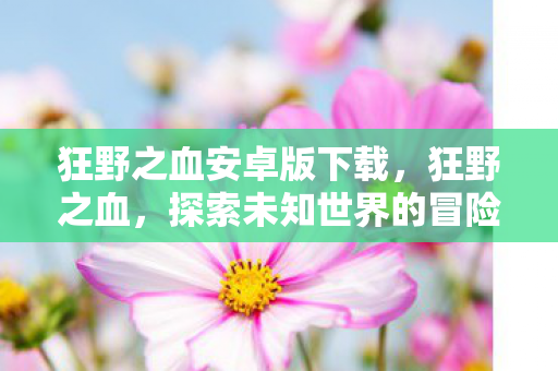 探索未知世界的冒险之旅图片
