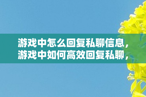 游戏中怎么回复私聊信息图片