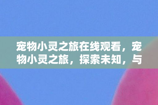 宠物小灵之旅在线观看图片