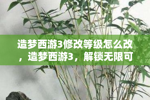 造梦西游3修改等级怎么改图片