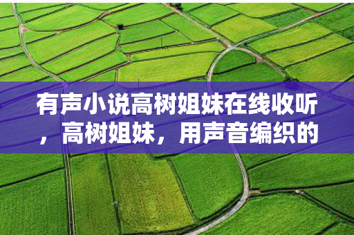 有声小说高树姐妹在线收听图片