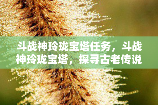 探寻古老传说中的神秘力量图片