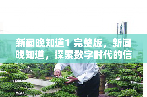 新闻晚知道1 完整版，新闻晚知道，探索数字时代的信息获取新方式