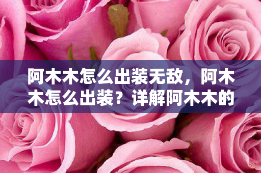 详解阿木木的核心装备选择图片