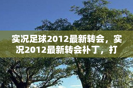 实况足球2012最新转会图片