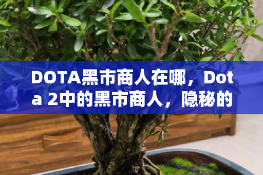 Dota 2中的黑市商人图片