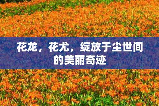 绽放于尘世间的美丽奇迹图片