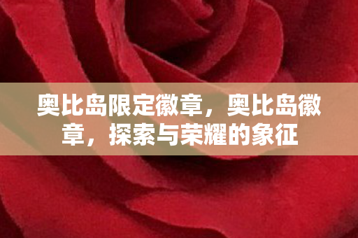 探索与荣耀的象征图片