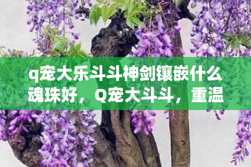 q宠大乐斗斗神剑镶嵌什么魂珠好，Q宠大斗斗，重温经典，探索神剑的奇幻之旅
