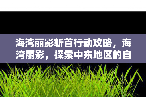 海湾丽影斩首行动攻略,海湾丽影,探索中东地区的自然奇观与文化瑰宝 海湾丽影斩首行动攻略,海湾丽影,探索中东地区的自然奇观与文化瑰宝