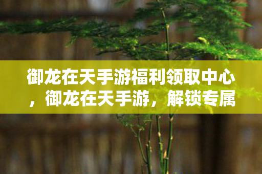 御龙在天手游福利领取中心，御龙在天手游，解锁专属福利，打造你的传奇之旅