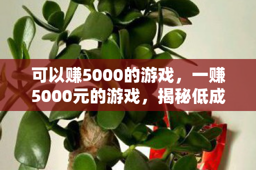 可以赚5000的游戏，一赚5000元的游戏，揭秘低成本创业的新机遇