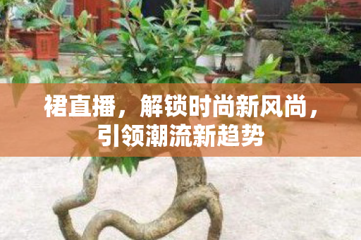 裙直播，解锁时尚新风尚，引领潮流新趋势