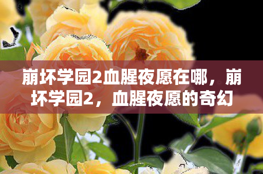崩坏学园2血腥夜愿在哪，崩坏学园2，血腥夜愿的奇幻之旅