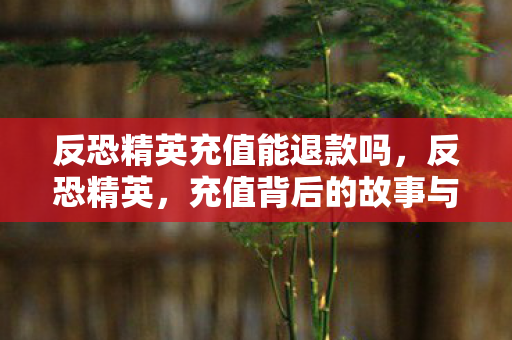 反恐精英充值能退款吗，反恐精英，充值背后的故事与影响