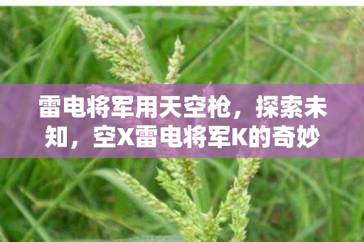雷电将军用天空枪,探索未知,空X雷电将军K的奇妙冒险 雷电将军用天空枪,探索未知,空X雷电将军K的奇妙冒险