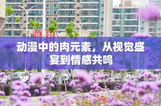 动漫中的肉元素，从视觉盛宴到情感共鸣