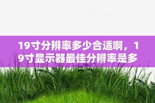 19寸分辨率多少合适啊,19寸显示器最佳分辨率是多少? 19寸分辨率多少合适啊,19寸显示器最佳分辨率是多少?