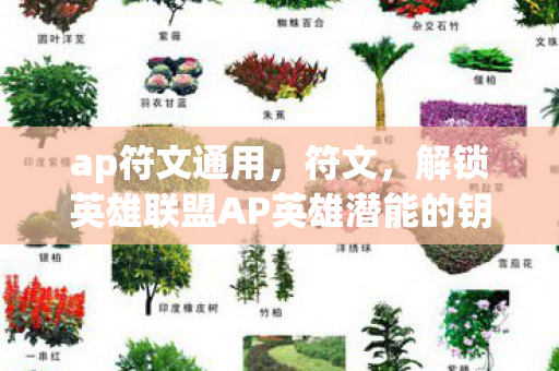 ap符文通用,符文,解锁英雄联盟AP英雄潜能的钥匙 ap符文通用,符文,解锁英雄联盟AP英雄潜能的钥匙