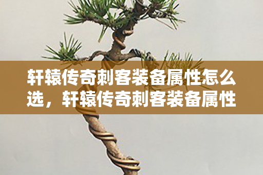 轩辕传奇刺客装备属性怎么选,轩辕传奇刺客装备属性详解 轩辕传奇刺客装备属性怎么选,轩辕传奇刺客装备属性详解