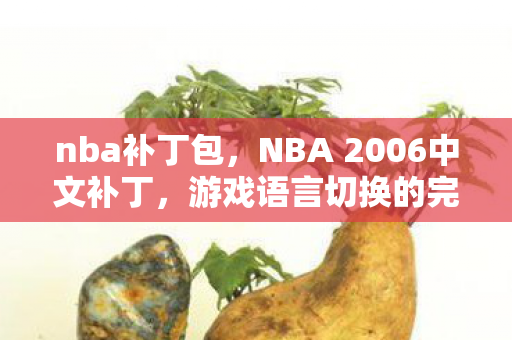 nba补丁包，NBA 2006中文补丁，游戏语言切换的完全指南